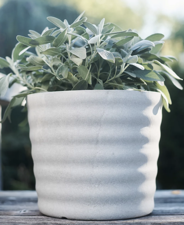 Pflanzgefäss Maia, Swisspearl